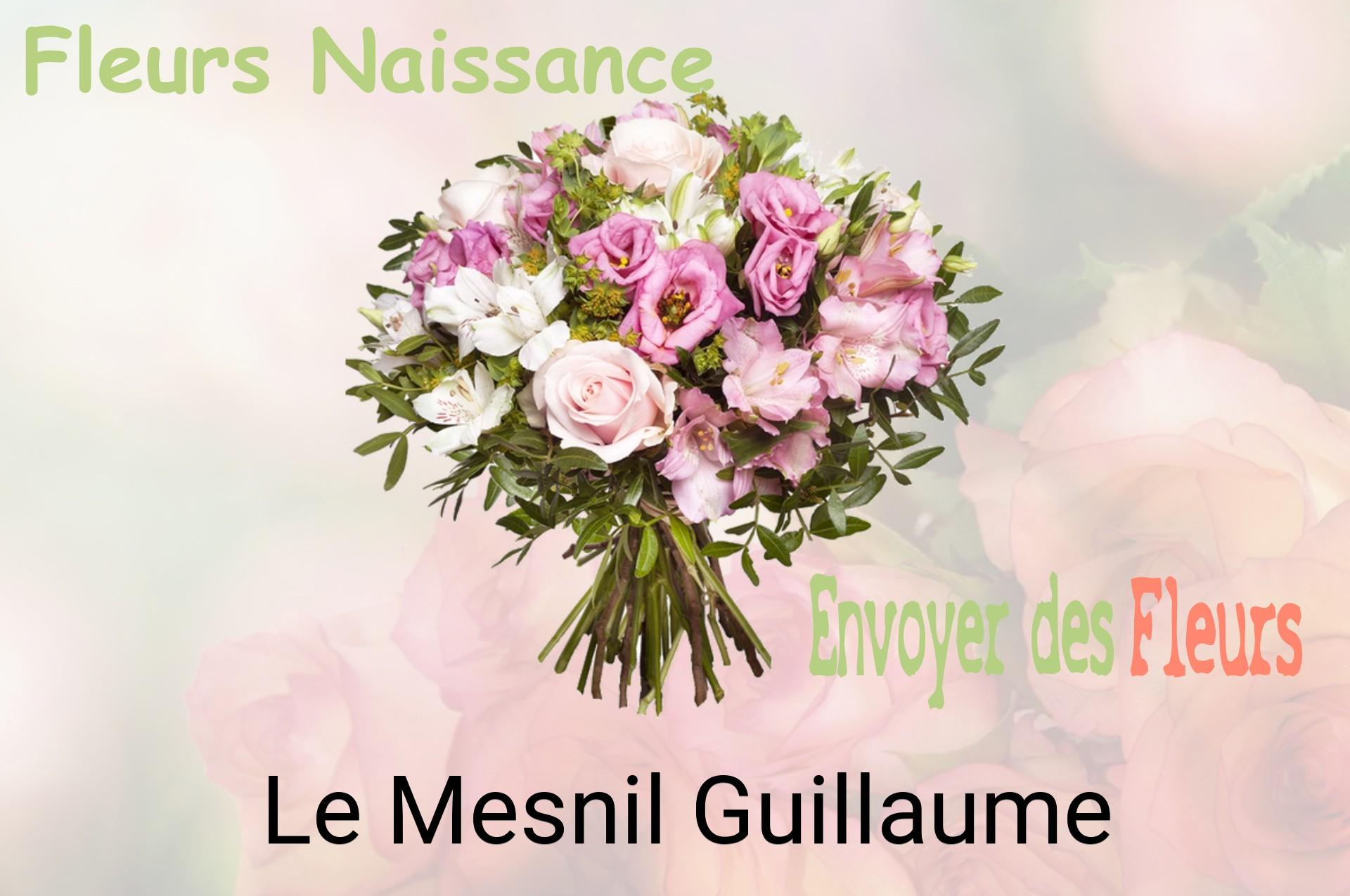 Bouquet de fleurs de naissance livré à Le Mesnil-Guillaume